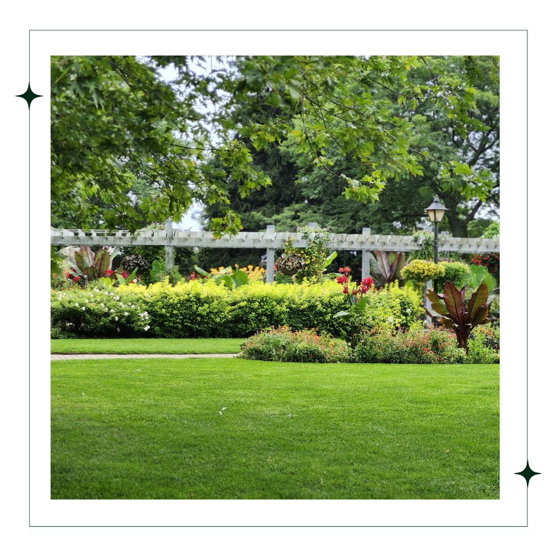 Live on the Lawn: Midsummer Folk - tlc Estate Agents