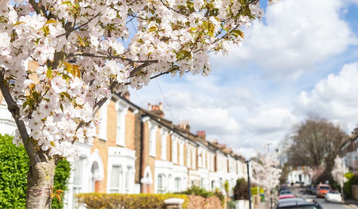 Chelsea Flower Show Week: What Tenants Love About Living Nearby