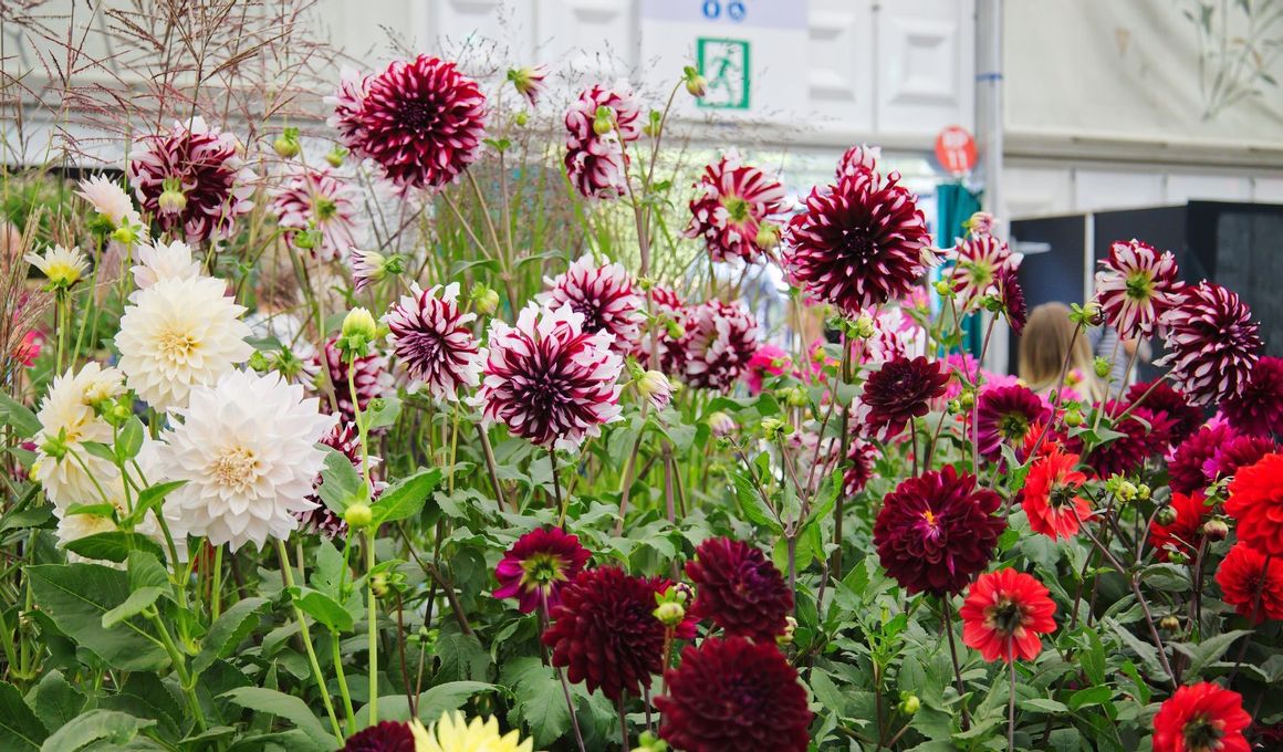 Prime Locations for Buyers Who Love Green Spaces & Walking Routes