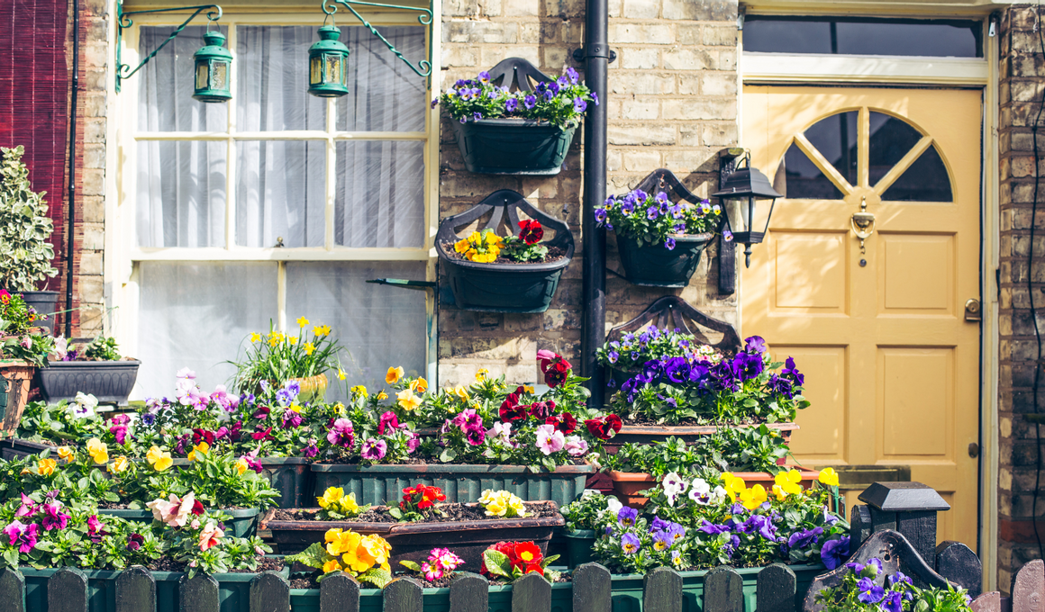 Renting Refresh: Spring Improvements That Increase Rental Value