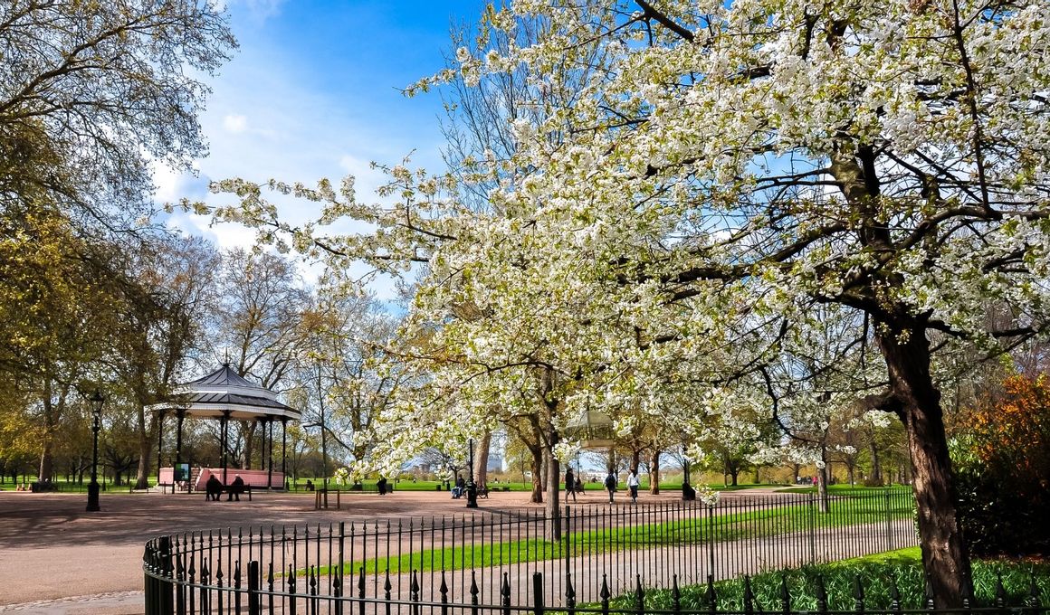 Spring Events and Exhibitions in Kensington and Chelsea 2026