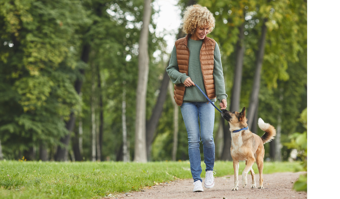 The Best Walking Routes in Kensington & Chelsea (With or Without a Dog!)