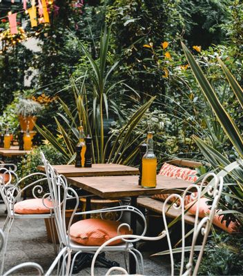 Al Fresco in Kensington and Chelsea: The Best Outdoor Patios to Dine This Spring