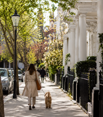 A Day Lived Well in SW7, Prime London