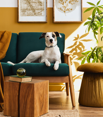 SW5 Property Market Update