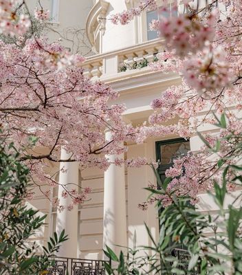 Hidden Courtyards, Gardens and Free Parks to Discover This Spring