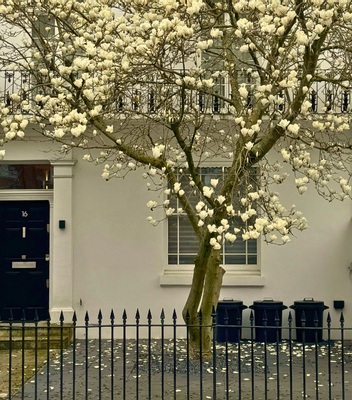 Preparing Your Building for Summer: Essential Spring Works