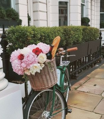 Summer Activities in Kensington: Gardens, Culture and Community
