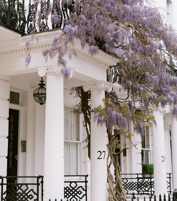 Where to Enjoy Spring Blooms in Kensington and Chelsea